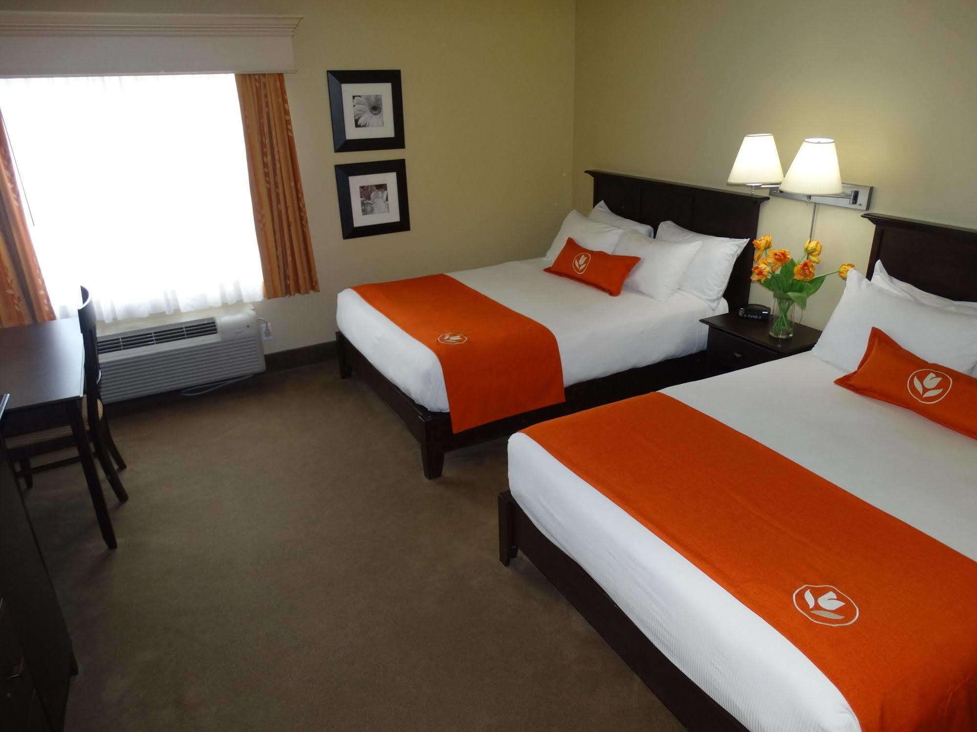 Amsterdam Inn & Suites Sussex Exterior foto